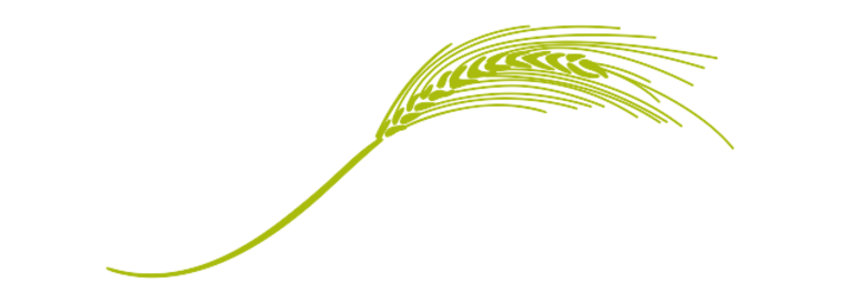 BreadPartners